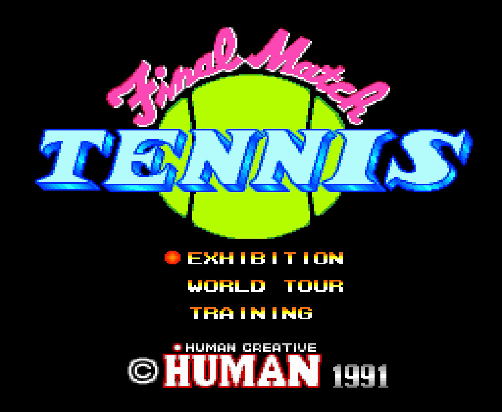 Final Match Tennis Title